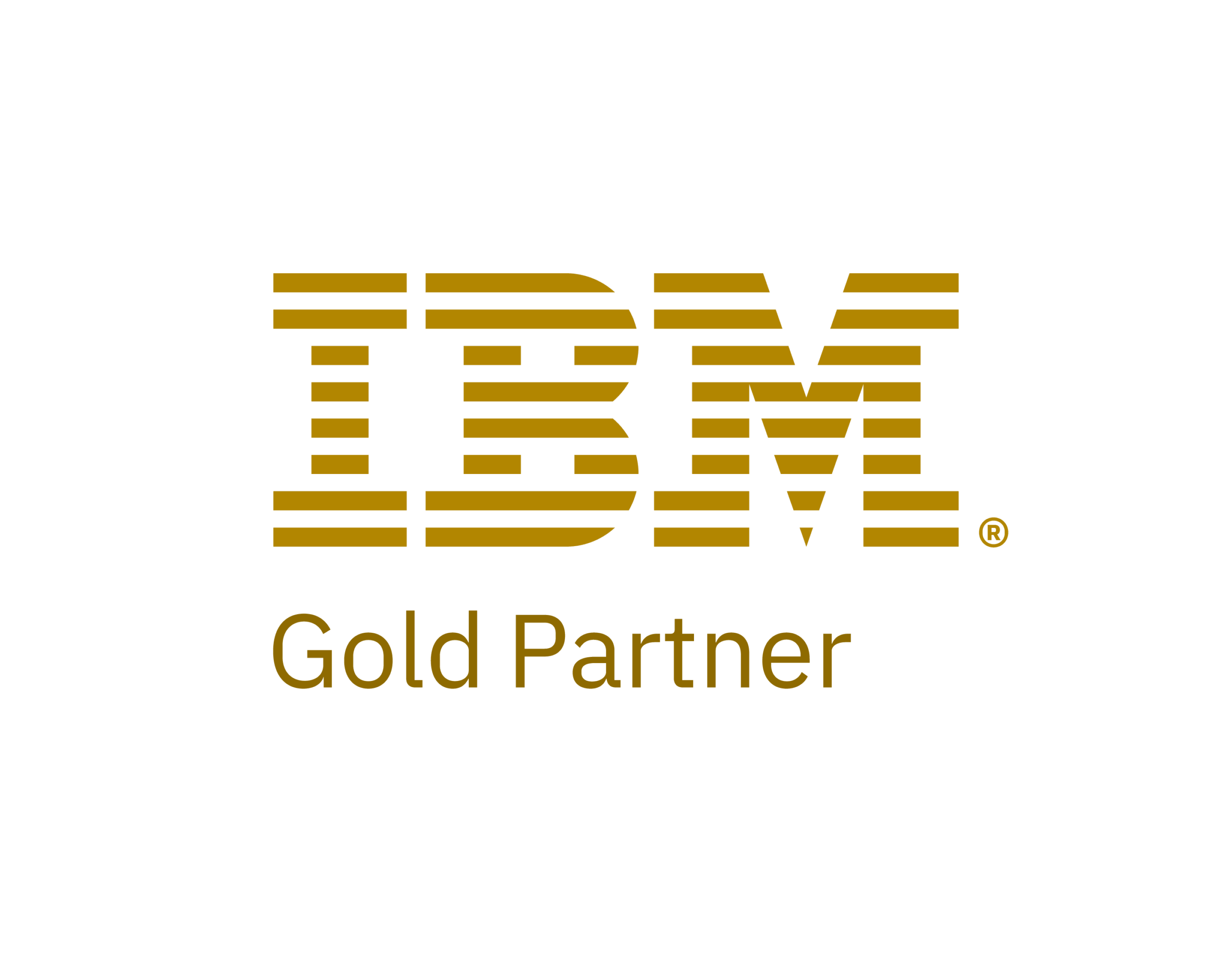 IBM Partner Plus Logo